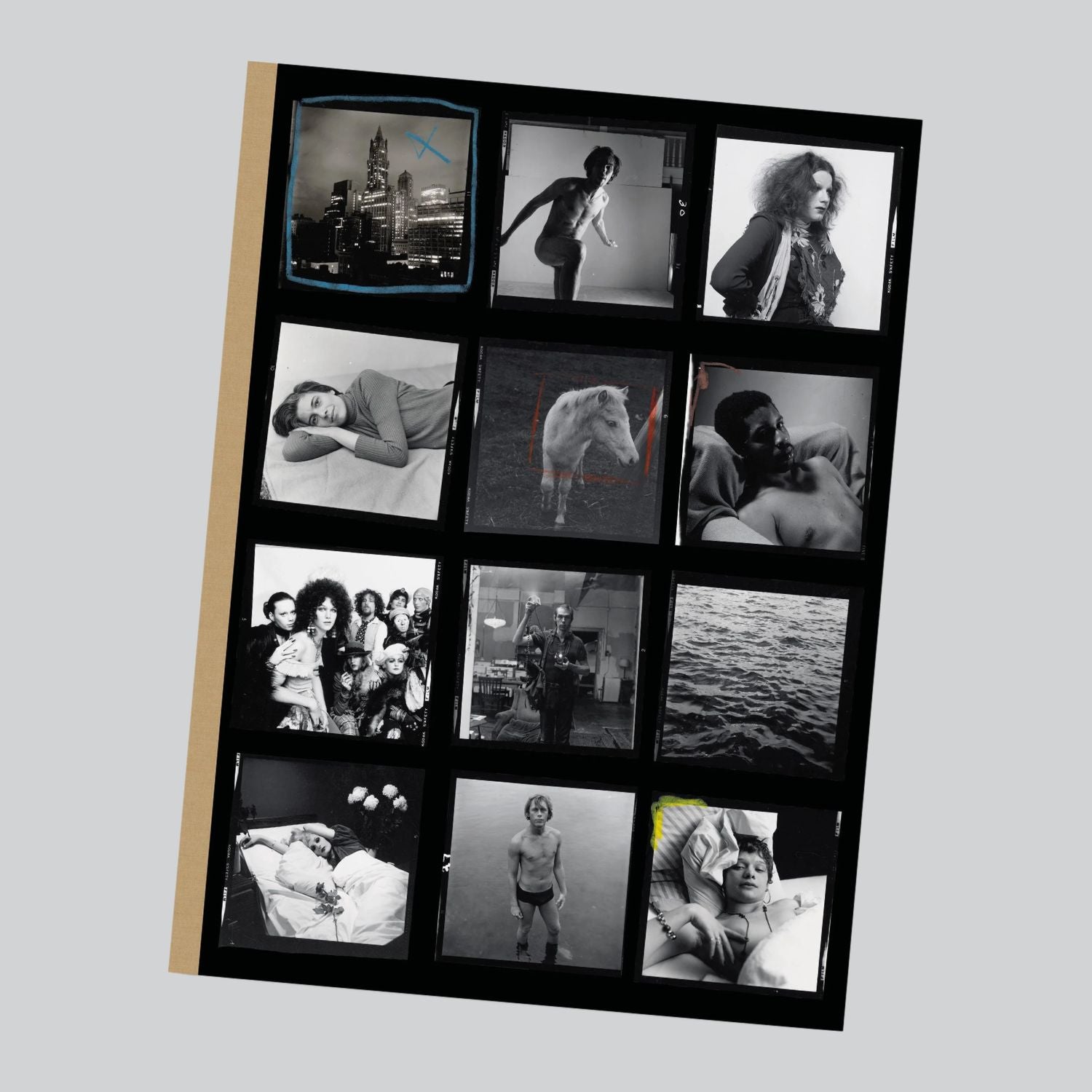 Covers_36_2048x.jpg?v=1772971420