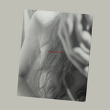 Pre-Order: Odette England - To Be Developed, To Be Continued