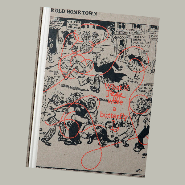 Pre-Order: Jeff Mermelstein - What if Jeff were a butterfly?