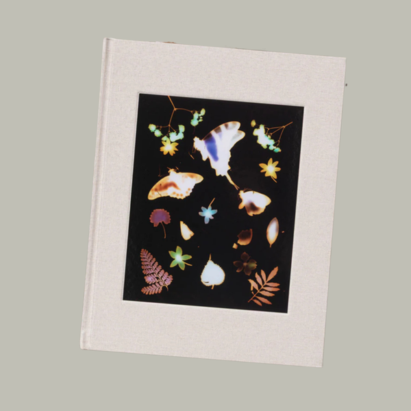 David Brandon Geeting - The Marble