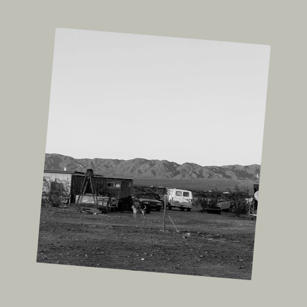 Pre-Order: John Divola - Dogs Chasing My Car in the Desert