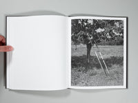 Filippo Barbero - Borderland