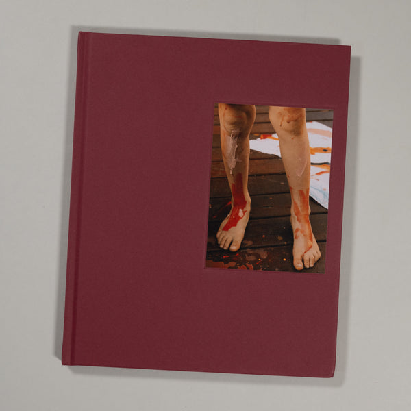 Lisa Sorgini - In Passing