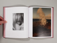 Lisa Sorgini - In Passing
