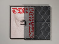 Robert LeBlanc - Tin Lizards