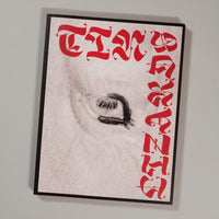 Robert LeBlanc - Tin Lizards