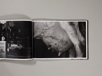 Eriko Masaoka - In the Flap of a Bird's Wing, Water Dries Up