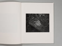 Jacopo Papucci - The Attachment Theory