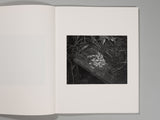 Jacopo Papucci - The Attachment Theory