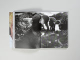 Nick Haymes - Chronograph (Signed)