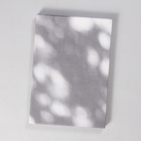 Josef Sudek, Emily Sheffer & Barbara Bosworth - Shadow, Blossom