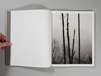 Ian Bates - The Weight of Ash (Signed)