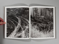 Ian Bates - The Weight of Ash (Signed)