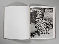Ian Bates - The Weight of Ash (Signed)