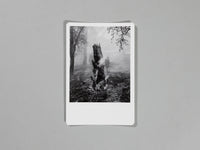 Ian Bates - The Weight of Ash (Signed)