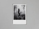 Ian Bates - The Weight of Ash (Signed)
