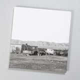 John Divola - Dogs Chasing My Car in the Desert