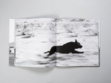 John Divola - Dogs Chasing My Car in the Desert