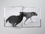 John Divola - Dogs Chasing My Car in the Desert