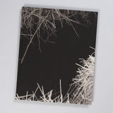 Martin Amis - Reverie (Signed)