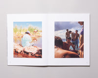 Playfulness (Group Book)