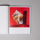 Jason Fulford - Frozen Features
