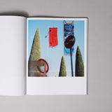 Jason Fulford - Frozen Features