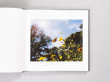 Taylor Galloway - across the street from Heaven (Signed w/ Print)