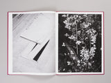 Boris Snauwaert - Sliver
