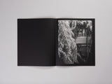 Andrew D. McClees - Avalanche