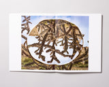 Rebecca Najdowski - Ambient Pressure