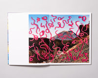 Rebecca Najdowski - Ambient Pressure