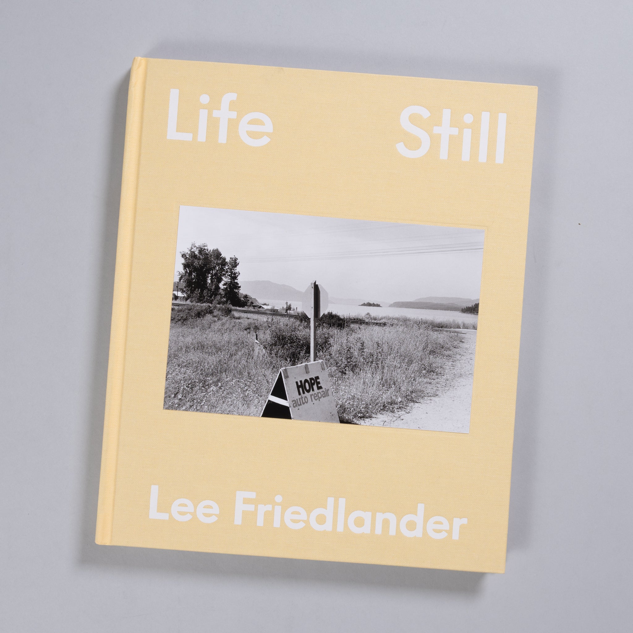 Lee Friedlander - Life Still – Baltimore Photo Space