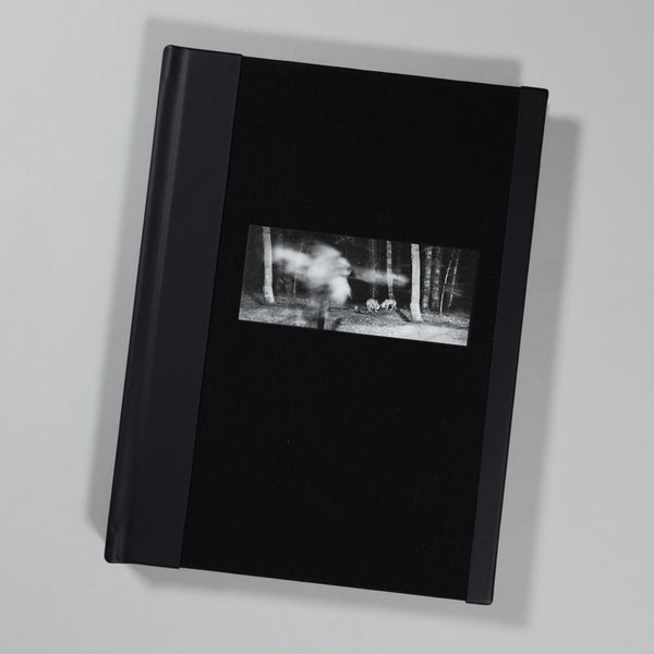 Anne Arendt - Vanishing