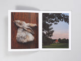 John Parvin McBride - Roadkill