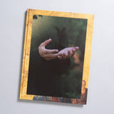 Barbara Bosworth - Birds and Other Angels (Signed)
