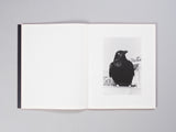 Duncan Wright - Dancing Unconscious