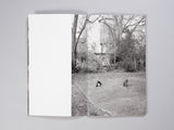 Mark Steinmetz - Low-Fi Cats
