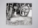Mark Steinmetz - Low-Fi Cats