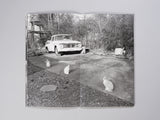 Mark Steinmetz - Low-Fi Cats
