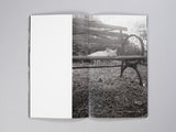 Mark Steinmetz - Low-Fi Cats