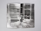 Mark Steinmetz - Low-Fi Cats
