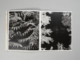 Pia-Paulina Guilmoth - At Night Gardens Grow (New Edition)