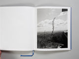 Pre-Order: Jenia Fridyland - Mango Season