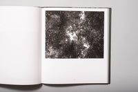Kristine Potter - Dark Waters