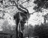 Pre-Order: Rory Mulligan - Freddie