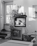 Pre-Order: Rory Mulligan - Freddie