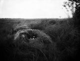 Pre-Order: Constance Thalken - Heart of a Bird