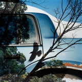 Pre-Order: Jason Fulford - Frozen Features