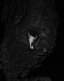 Andrea Koesters - Oracle